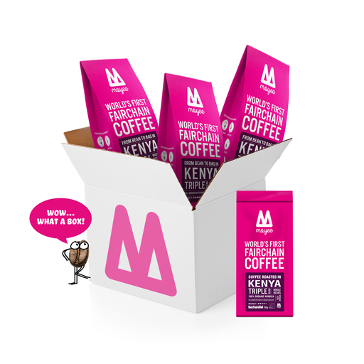 [BOXTR250F-KC] Triple / Filter Grind / Box (24 x 250g)